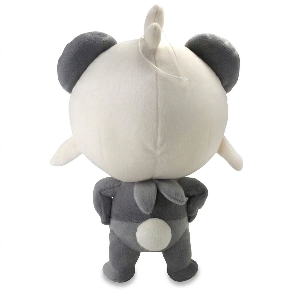 Pancham Pluszak widok z tyłu