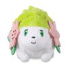 Shaymin Pluszak widok z przodu
